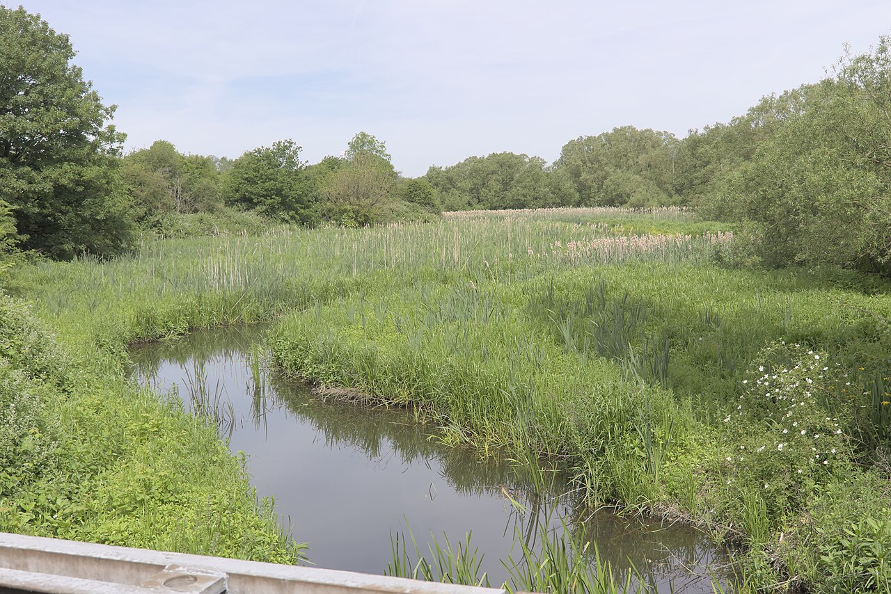 The River Erewash running through reeds and open ground, seen from a bridge parapet.